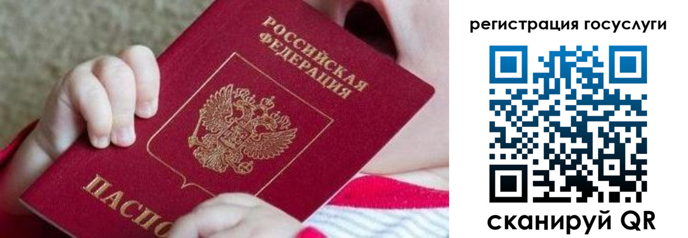 временная регистрация для всех в Шебекино
